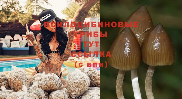 экстази Горнозаводск