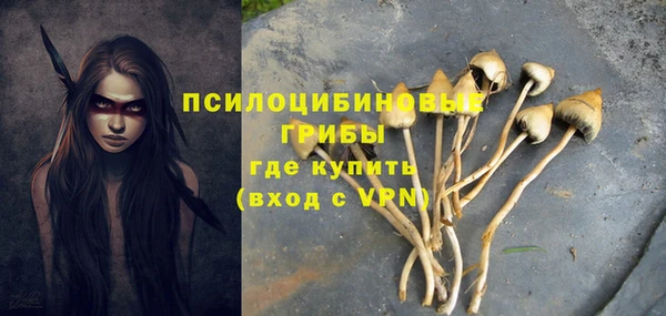 ALPHA PVP Горняк